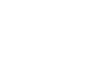 WOption Trader Ltd